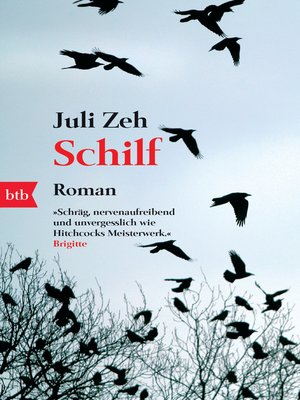 cover image of Schilf
